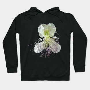 Caper flower Hoodie